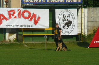 zilina2008