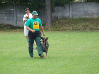 zilina2008